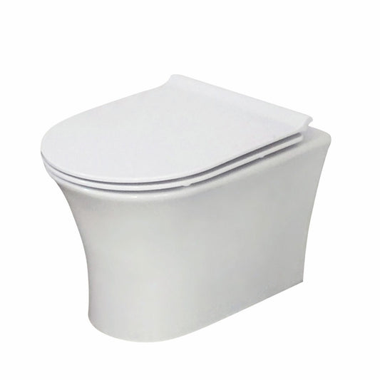 Deia Rimless Wall Hung Pan